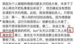 娱乐专访爆料文案范文大全,娱乐专访爆料文案全解析