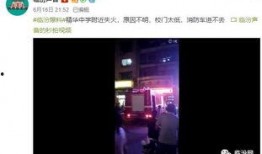 哈尔滨高校爆料视频最新,揭秘校园内幕，真相令人震惊！